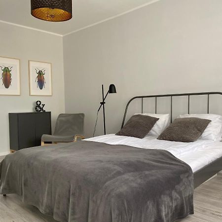 Apartament Kilinskiego 9 Świdnica Kültér fotó