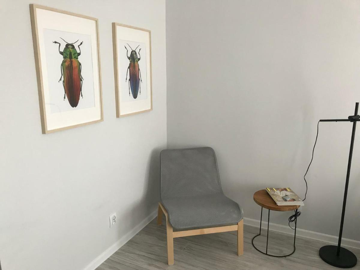 Apartament Kilinskiego 9 Świdnica Kültér fotó